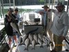 (05/30/2018) - Nice Striped Bass
